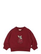 Ppdina Sweat Shirt Petit Piao Burgundy