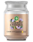 Air Wick Cedar Wood & White Musk Candle 480 g