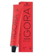 Schwarzkopf Igora Royal 7-13 60 ml