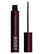 Xlash Eyebrow Conditioner (Stop Beauty Waste) 3 ml