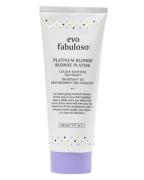 Evo Fabuloso Platinum Blonde Blonde Colour Intensifying Treatment 220 ...
