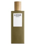 Loewe Esencia EDT 50 ml