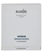Babor Lip Balm 12 Pcs