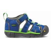 Seacamp II CNX Tots TRUE BLUE/JASMINE GREEN