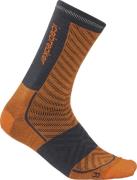 Icebreaker Men's Merino Run+ Ultralight Crew Ray/graphite