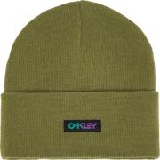 Oakley B1B Gradient Patch Beanie Fern