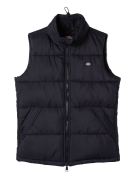 Dickies Men's Waldenburg Vest Black