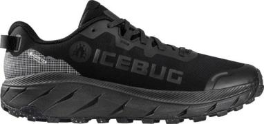 Icebug Men's Arcus 2 RB9X Gore-Tex Trueblack