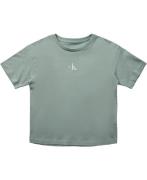 Calvin Klein CK Logo Boxy Tshirt Str 8 - Jadeite Kortærmede T-shirts h...