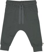 Müsli by Green Cotton Cozy me Dart Pants Baby Str 92 - Balance Green B...