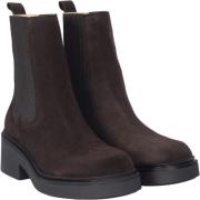 ANGULUS Støvle med Elastik Kvinde 2193/046 Brown/brown Chelsea Boots S...