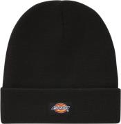 Dickies Gibsland Beanie Black ONE SIZE - Huer hos Magasin