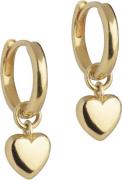 ENAMEL Copenhagen Hoops, Amore 20 x 7 mm - Creoler hos Magasin