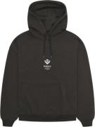 Woodbird Wbpope Globe Hoodie Mand Chocolate Brown Hoodies Str L - hos ...