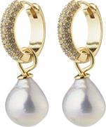 Pilgrim Edele Pearl Earrings Goldplated One size - Creoler hos Magasin