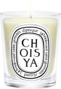 Diptyque Standard Candle Choisya 190 g Kvindeduft 190 G - Duftlys hos ...