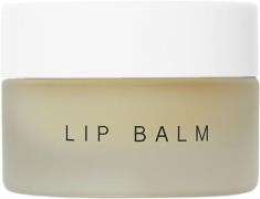 Dr. Barbara Sturm Lip Balm 12 ml - Læbepomade hos Magasin