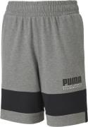 Puma Alpha Jerseyshorts 128 - Træningsshorts Bomuld hos Magasin