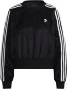 adidas Adicolor Classics Corded Velour Oversize Sweatshirt Kvinde Sort...