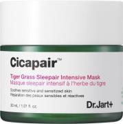 Dr Jart+ Cicapair Mini Tiger Grass Sleepair Intensive Mask 30 ml - Ans...