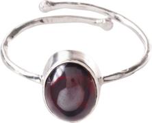 A Beautiful Story Visionary Garnet Ring SP inner 16mm, adjustable - Ri...