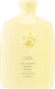 Oribe Hair Alchemy Resilience Shampoo 250 ml - Shampoo hos Magasin