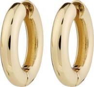 Pilgrim Marlo Earrings Goldplated one size - Creoler hos Magasin