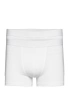 Boxer Brief Modal 2-Pack Boxershorts White Bread & Boxers