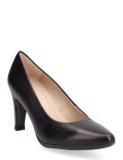 Pump Shoes Heels Pumps Classic Black Wonders