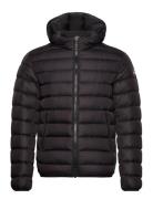 Mens Down Jacket Foret Jakke Black Colmar