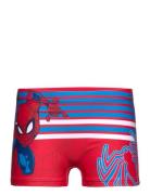 Board Short Swimwear Badeshorts Red Spider-man