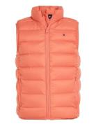 U Essential Light Down Vest Foret Vest  Tommy Hilfiger