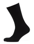 Claudio Socks Solid Colours Underwear Socks Regular Socks Black Claudi...