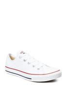 Yth C/T All Star Ox Optwt Shoes Sneakers Canva Sneakers White Converse
