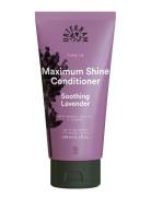 Maximum Shine Conditi R Soothing Lavender Conditi R Conditi R Balsam N...