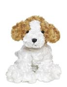 Dog, White Toys Soft Toys Stuffed Animals White Teddykompaniet
