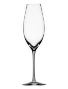 Difference Sparkling 32Cl  Home Tableware Glass Champagne Glass Nude O...