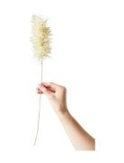 Paper Flower, Pampas Home Decoration Paper Flowers Beige Studio About