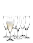 Perfection Champagneglas 23 Cl 6 Stk. Home Tableware Glass Wine Glass ...