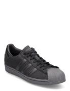 Superstar Gtx Shoes Low-top Sneakers Black Adidas Originals