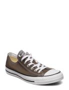 Chuck Taylor All Star Low-top Sneakers Brown Converse