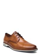 Dakin Shoes Business Laced Shoes Brown Lloyd
