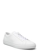 Jermain Leather Sneaker Low-top Sneakers White Polo Ralph Lauren