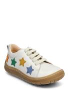 Shoes - Flat - With Lace Low-top Sneakers White ANGULUS
