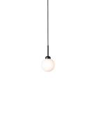 Apiales 1 Home Lighting Lamps Ceiling Lamps Pendant Lamps Black Nuura