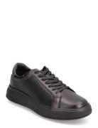 Low Top Lace Up Pet Low-top Sneakers Black Calvin Klein