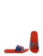 Spiderman Slippers Slippers Hjemmesko Red Spider-man