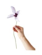 Paper Flower, Clematis Home Decoration Paper Flowers Purple Studio Abo...