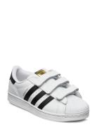 Superstar Cf C Sport Sneakers Low-top Sneakers White Adidas Originals