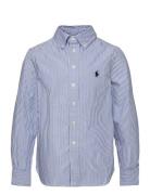 Slim Striped Oxford Shirt Tops Shirts Long-sleeved Shirts Blue Ralph L...